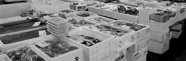 tsukiji-fish-market[1]